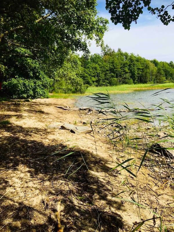 Mysig stuga med sjöutsikt, gästhus och stor altan – bild 23 av 24