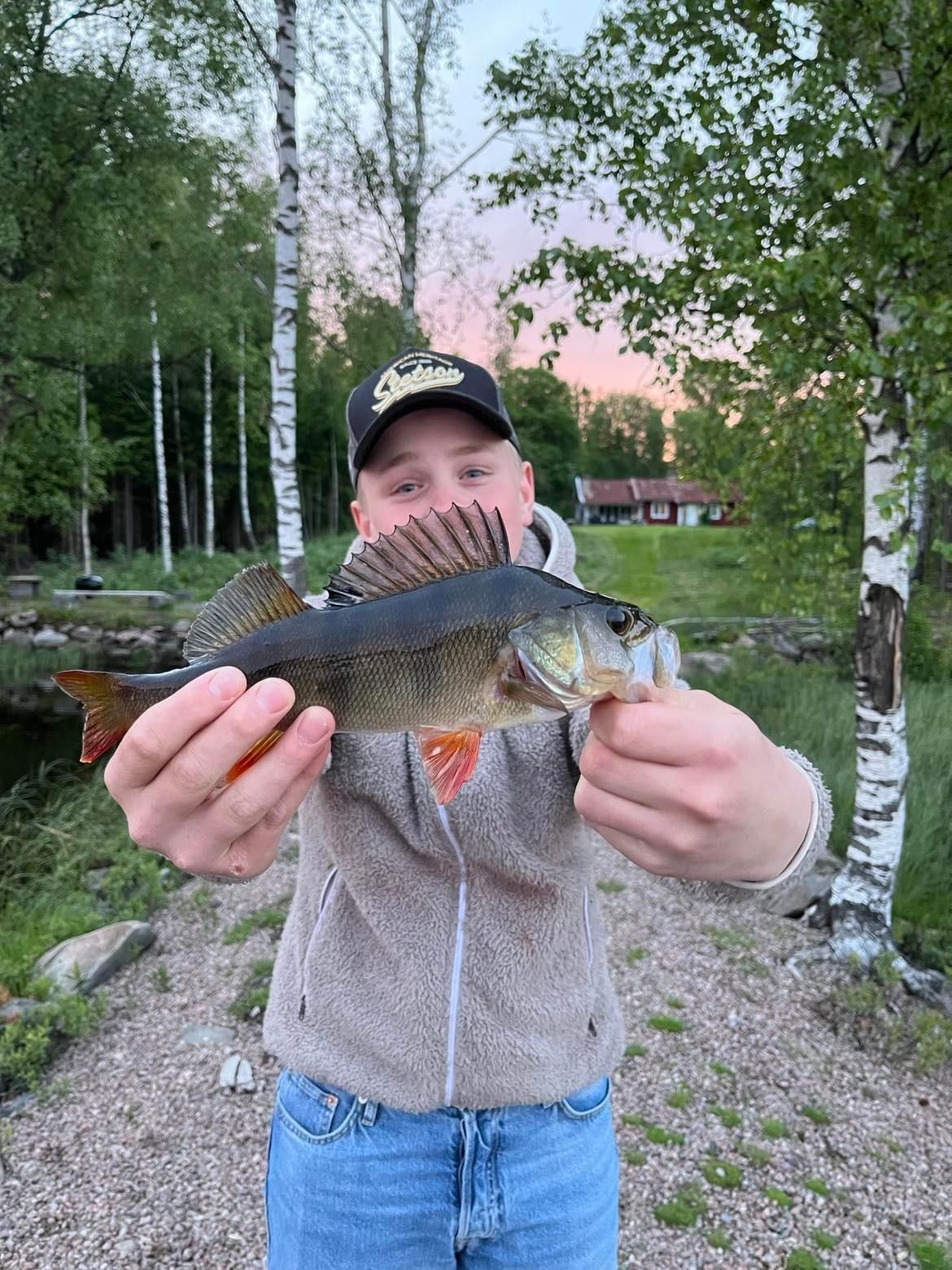 Sjötomt med brygga och båt – bild 16 av 24