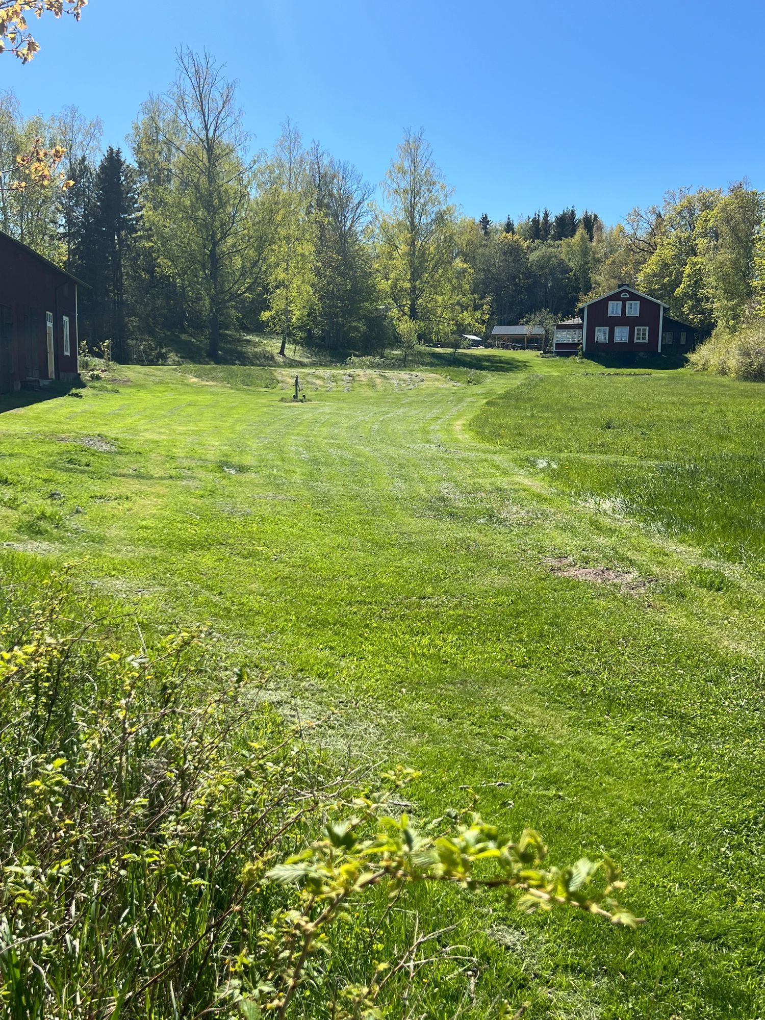 Enkelt boende i vår "Drängstuga" på Svedens gård – bild 9 av 17