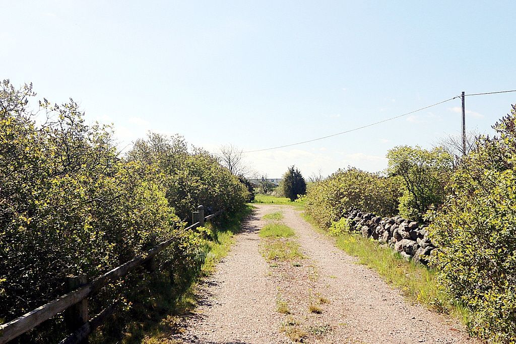 Fräsch naturnära stuga Öland , nära Äleklinta – bild 10 av 20