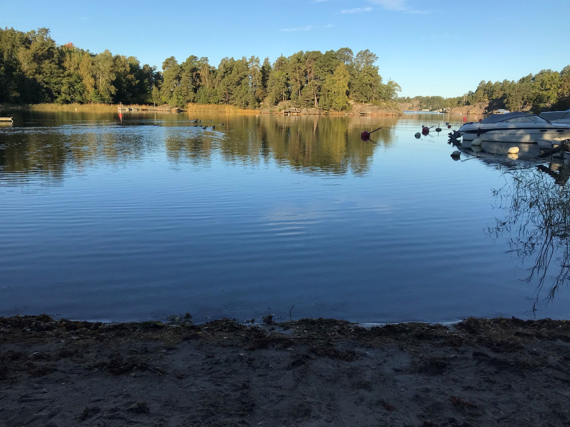 Charmig stuga nära havet – bild 13 av 14