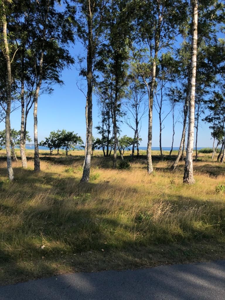 Strandnära Stuga i Farhult – bild 14 av 16