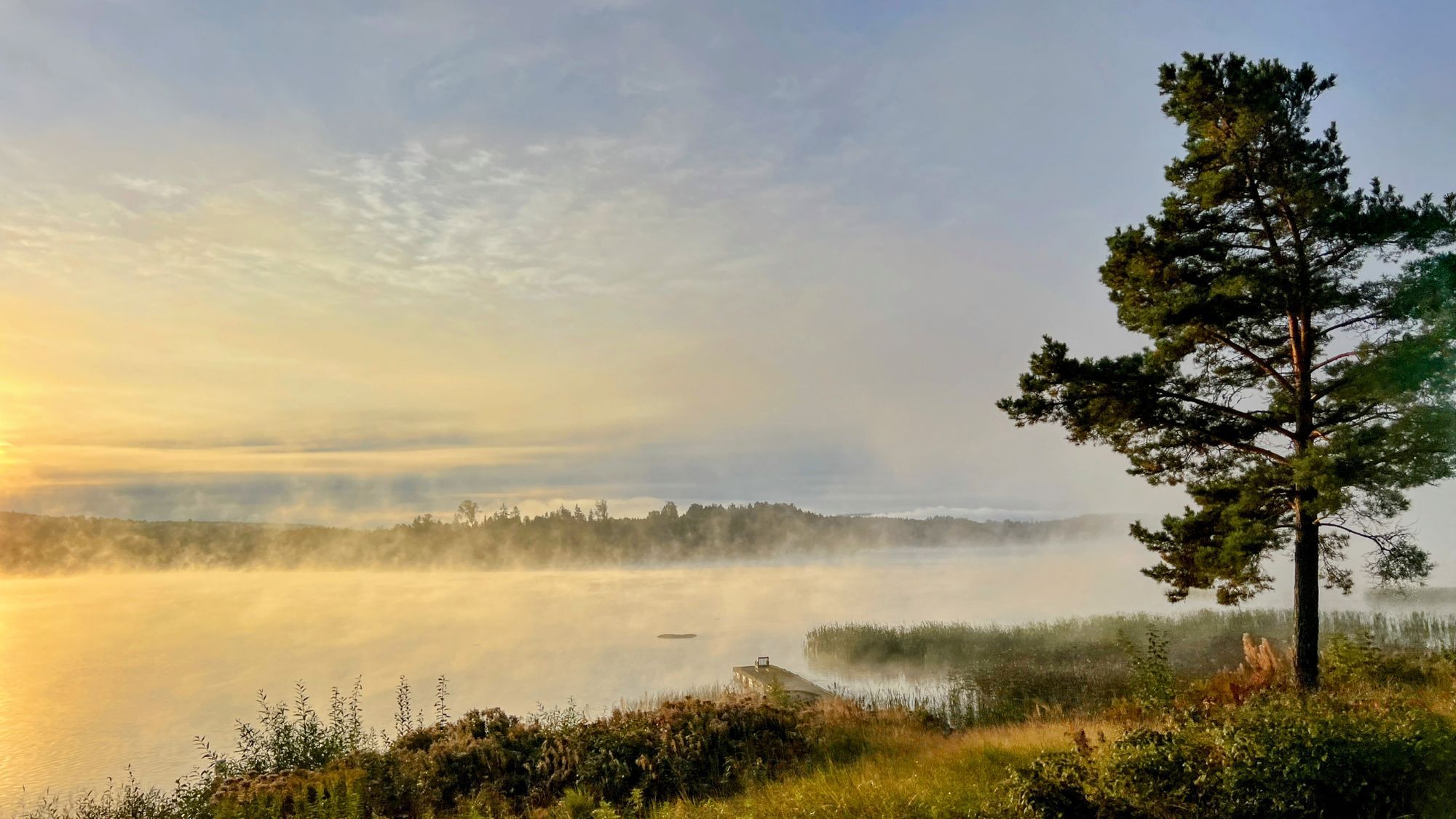 Mysig timmerstuga med kamin i södra Värmland – bild 24 av 24
