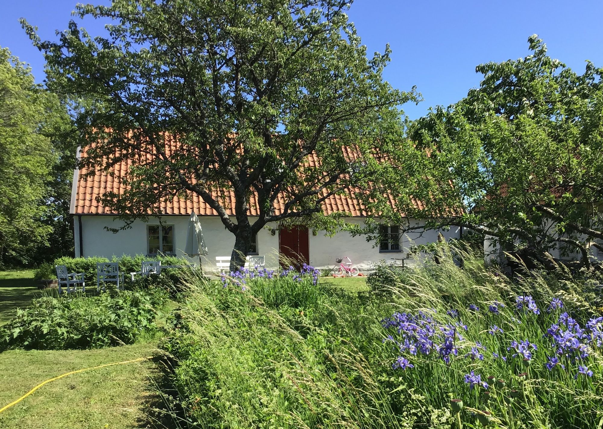 Kalkstenshus nära Visby och havet