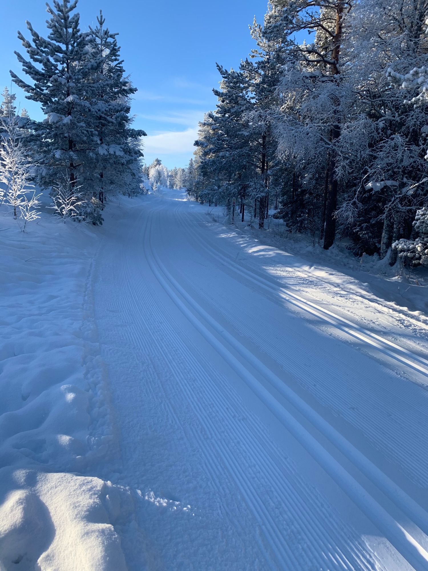 SÄLENS BÄSTA SKIDÅKNING, STÖTEN – bild 2 av 18