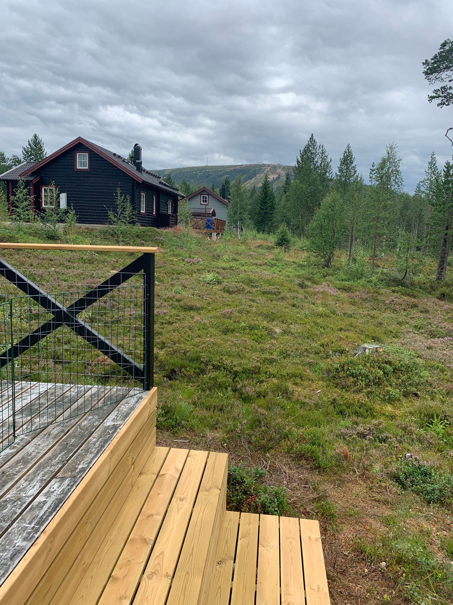 SÄLENS BÄSTA SKIDÅKNING, STÖTEN – bild 11 av 18