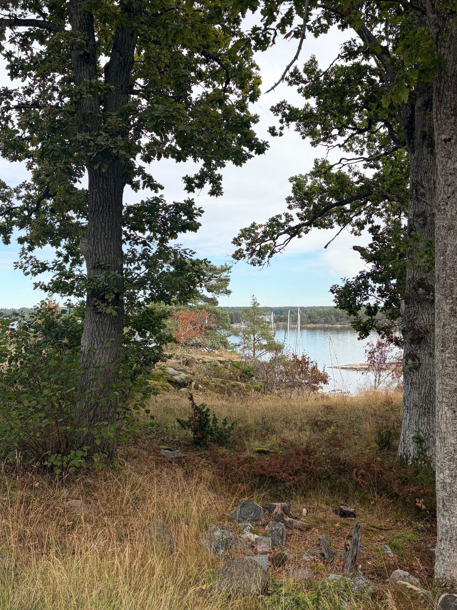 Stockholms skärgård, brygga, bastu och bilväg – bild 5 av 24
