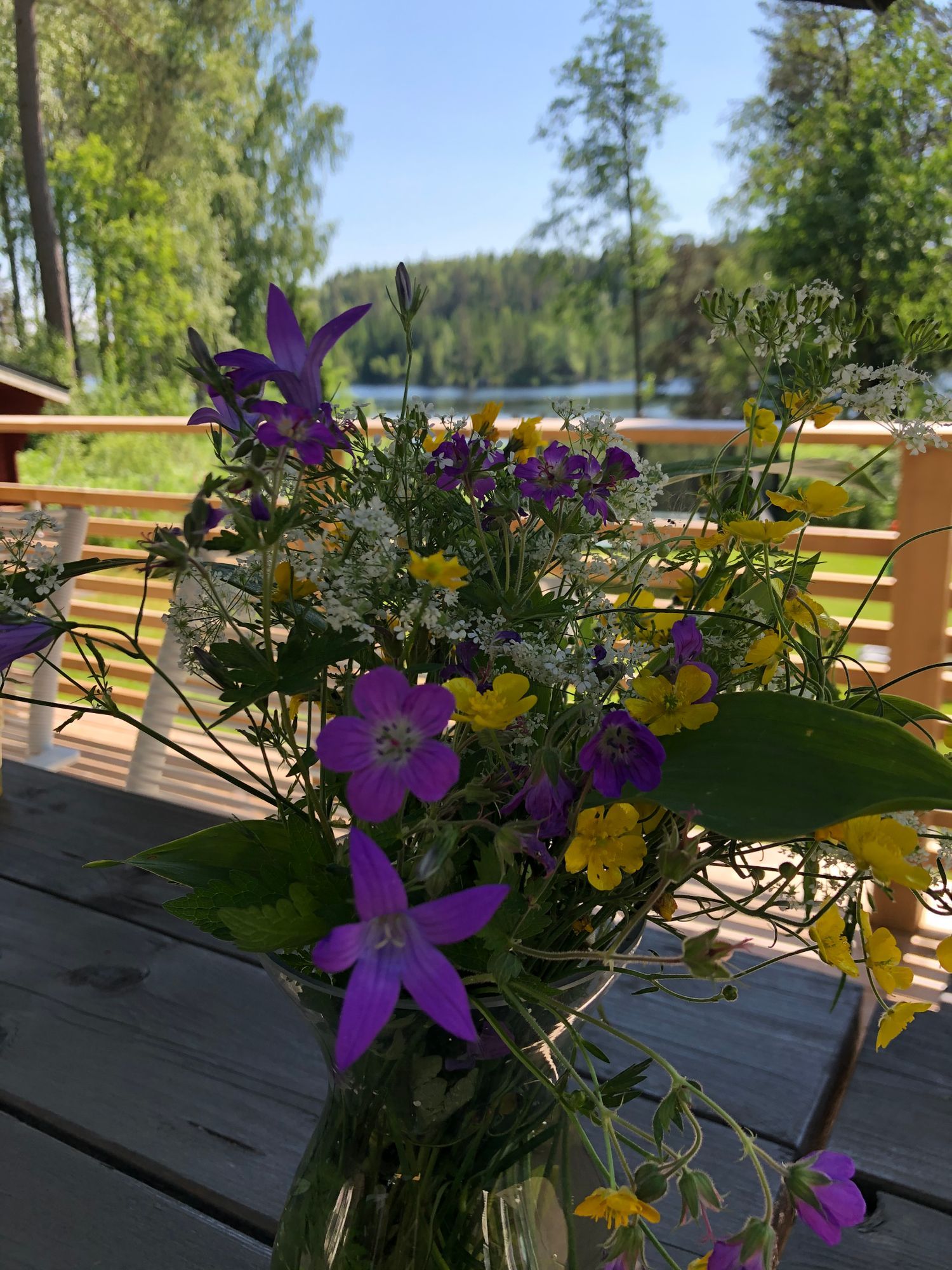Idyllisk liten stuga vid sjön Våtsjön – bild 23 av 24