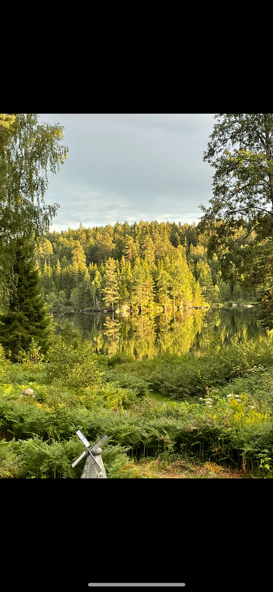 Idyllisk liten stuga vid sjön Våtsjön – bild 22 av 24