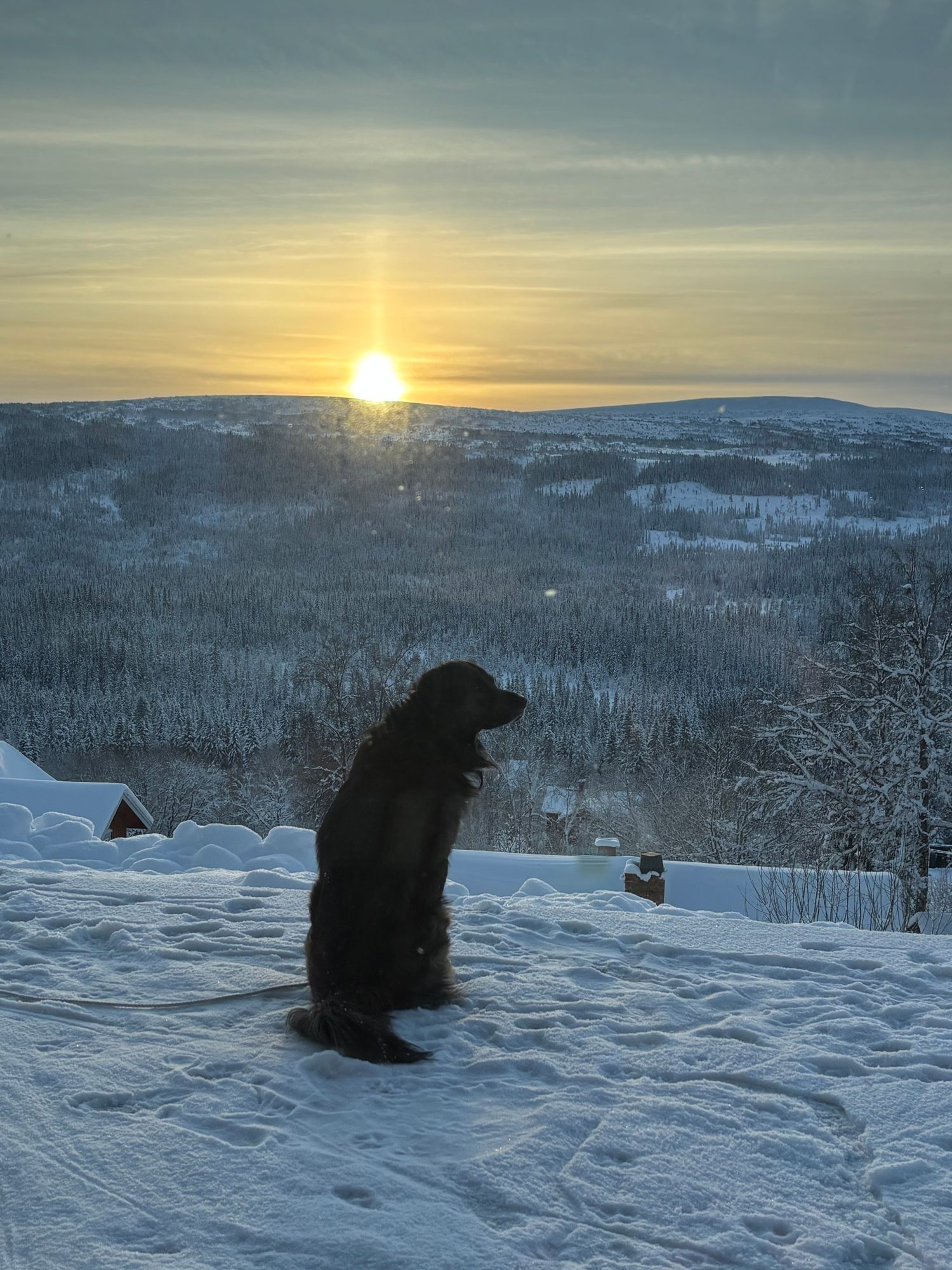 Panoramautsikt i Edsåsdalen! – bild 22 av 24
