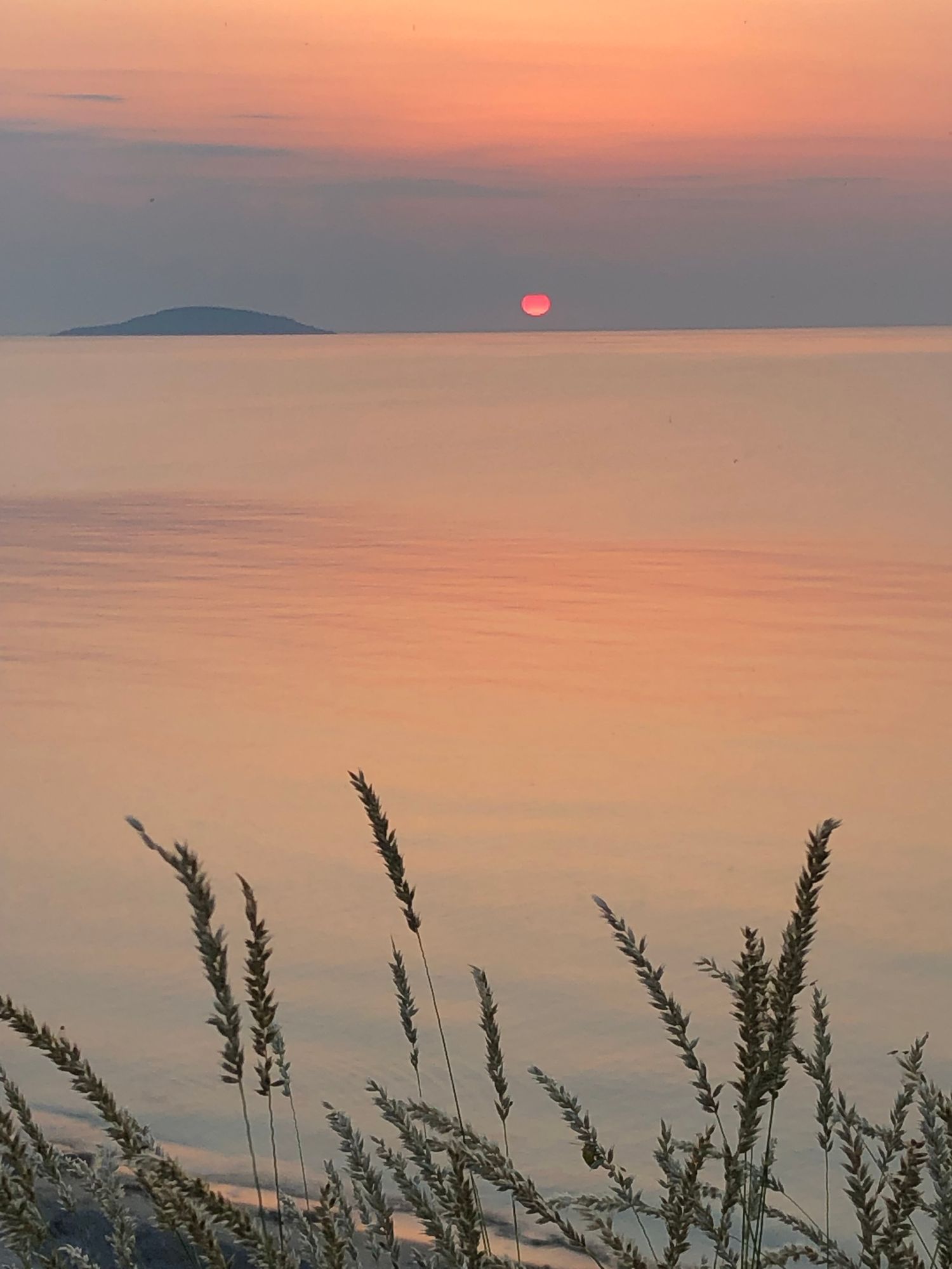 Mysig stuga nära havet i Kesnäs Udde, Norra Öland – bild 23 av 23