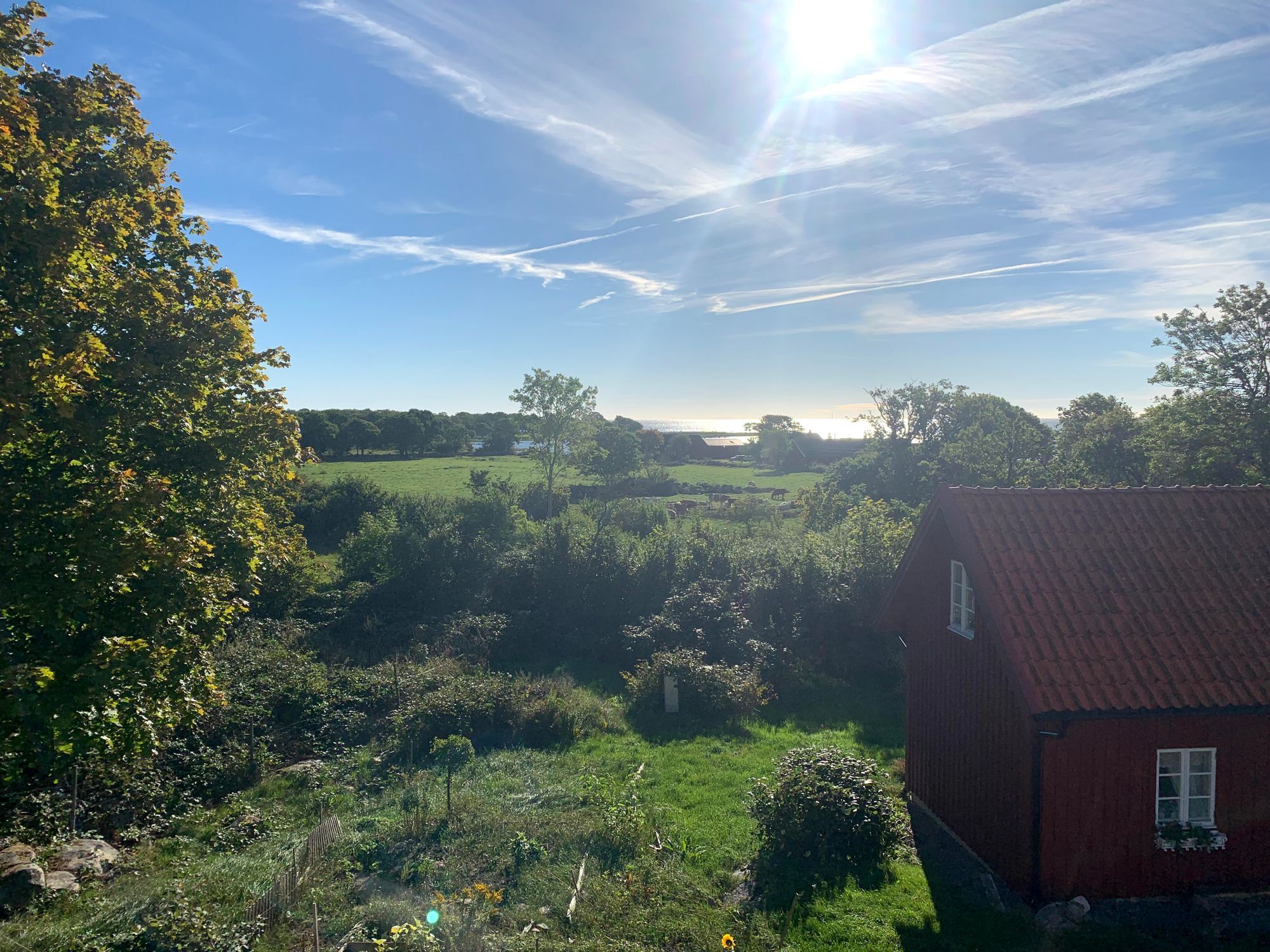 Havsutsikt  i Sandhamn / Torhamn – bild 16 av 24