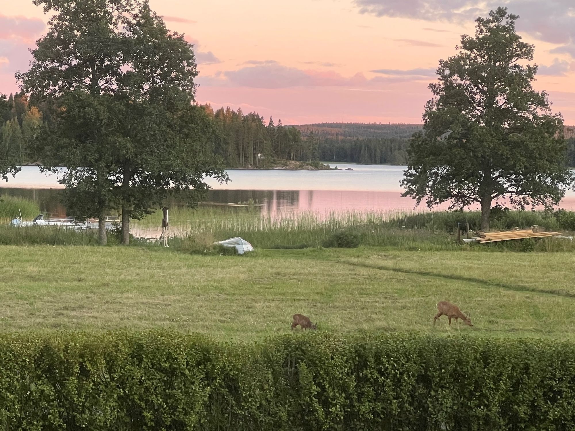 Charmig stuga vid sjön, magisk utsikt, bad & fiske