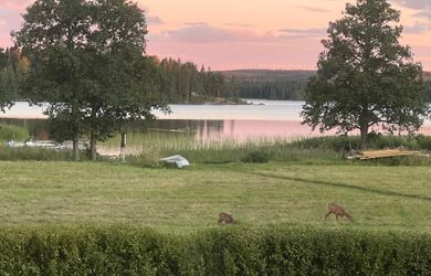 Sista minuten