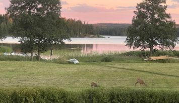 Charmig stuga med fantastisk sjöutsikt nära bad