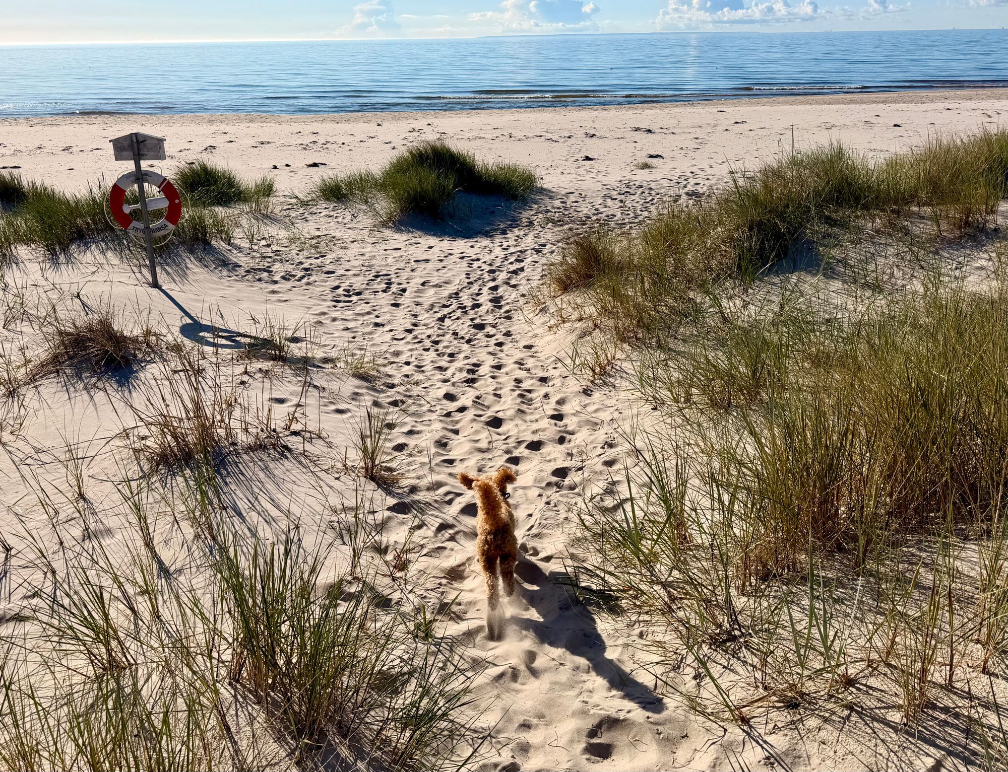 Gästlägenhet i hjärtat av Österlen – bild 16 av 17