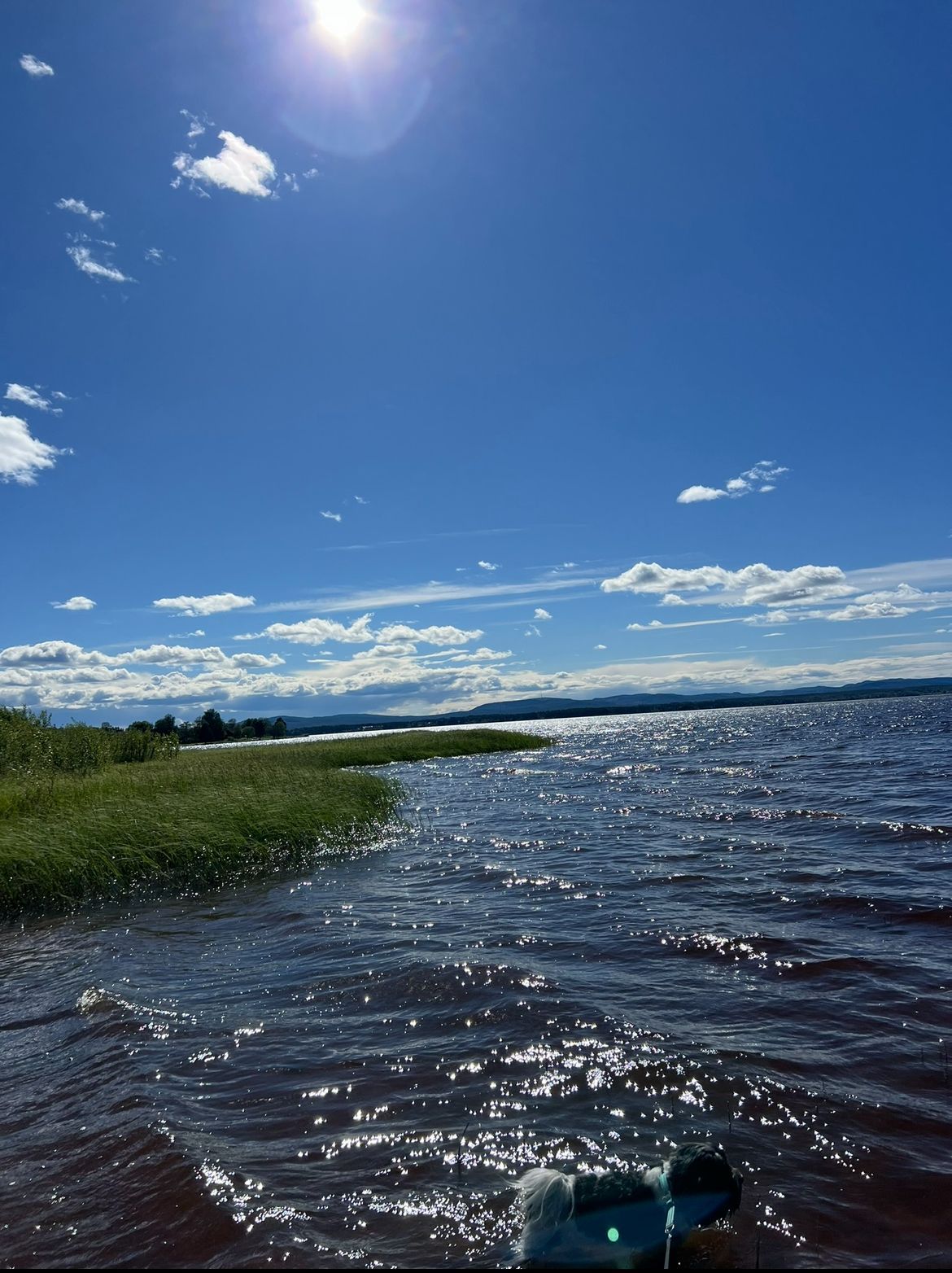 Separat del av villa i Vattnäs, Mora, Dalarna. – bild 19 av 22
