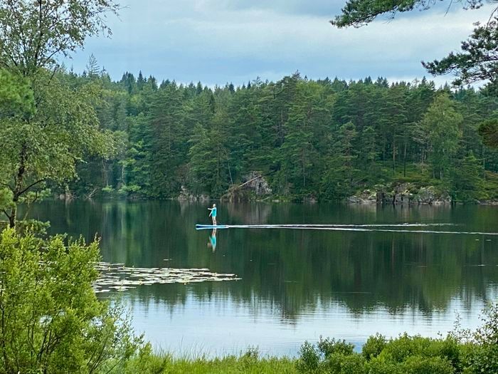 Idyllisk sommarstuga mitt i naturen vid sjökanten – bild 24 av 24