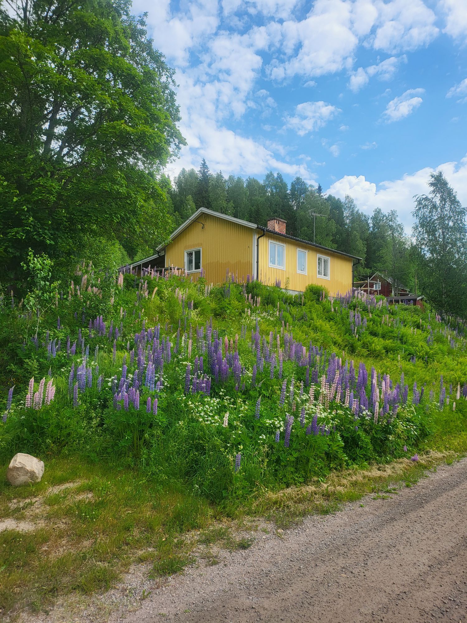 Stuga i branäs – bild 6 av 11