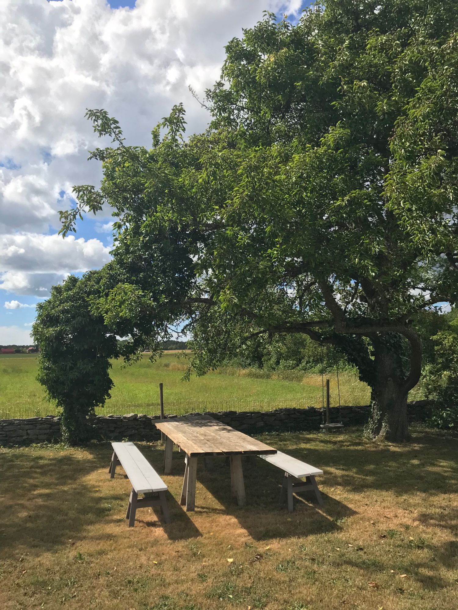 Kalkstenshus på östra Gotland, Ardre Ljugarn – bild 3 av 24
