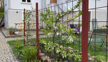 Hus i Mölle vid foten av Kullaberg.