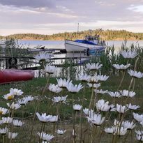 Charmig stuga på strandtomt