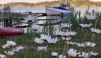 Charmig stuga på strandtomt