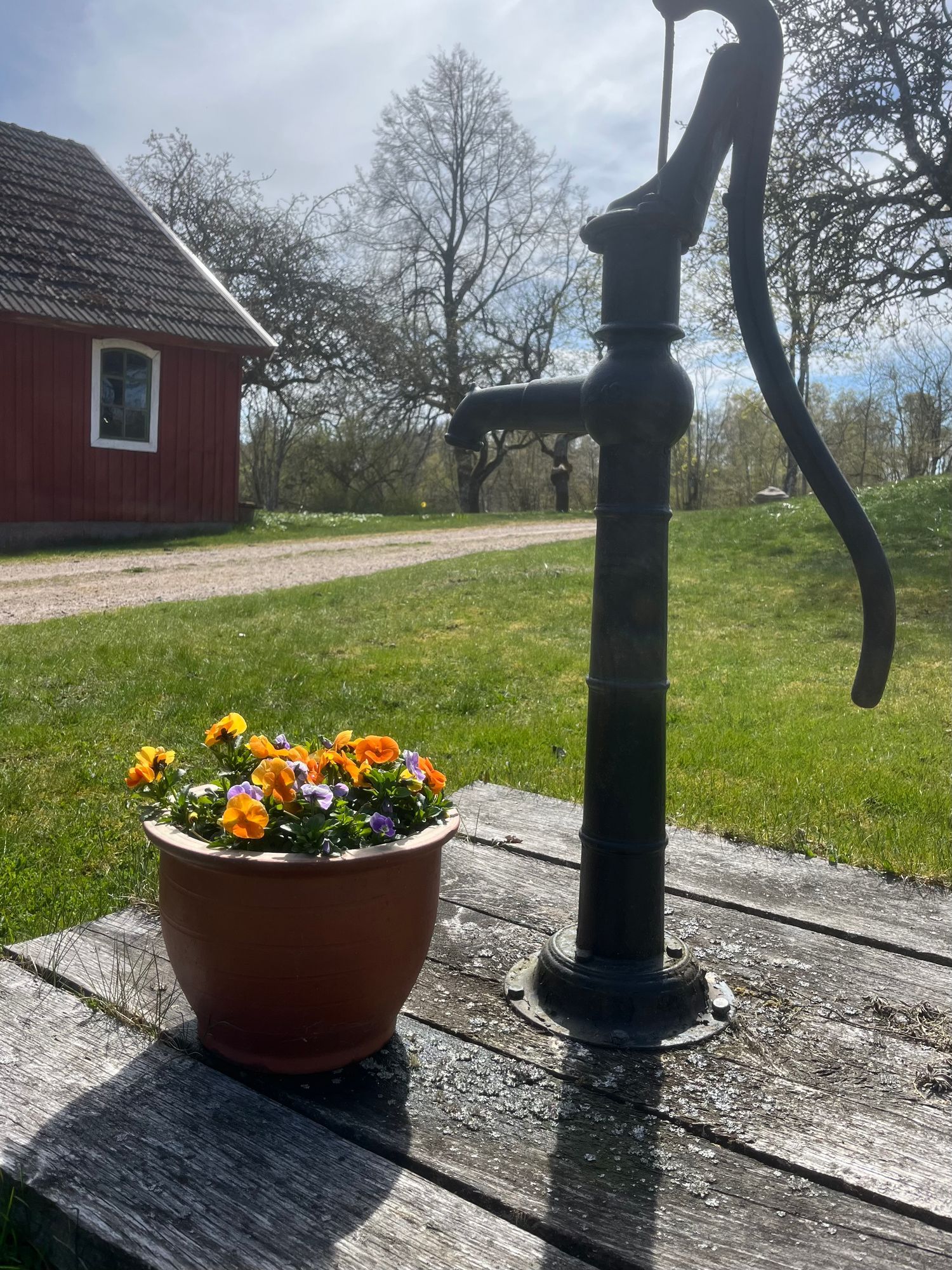 Skogsnära ferieboende på Linderödsåsen – bild 15 av 23