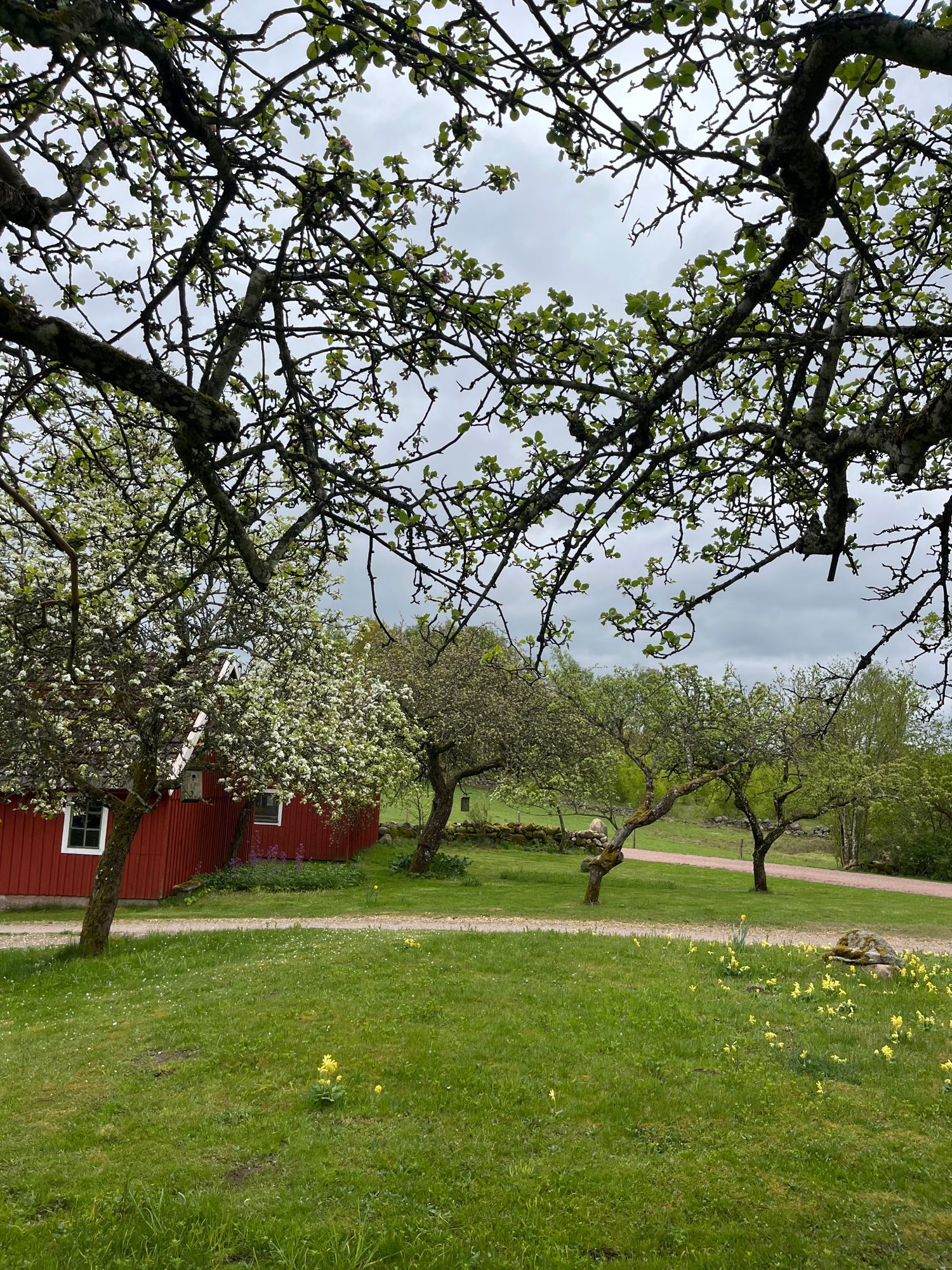 Skogsnära ferieboende på Linderödsåsen – bild 16 av 23