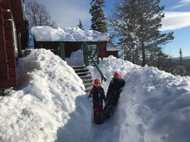 Mysigt Fjällstuga för den lilla familjen