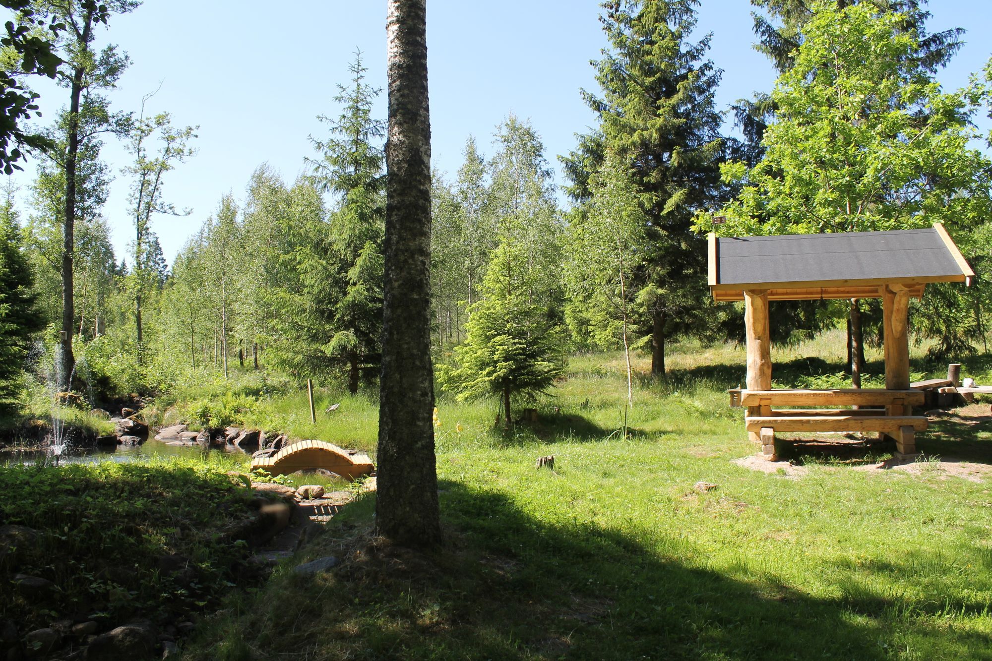 Rogivande boende i 1800-talsmiljö – bild 22 av 24