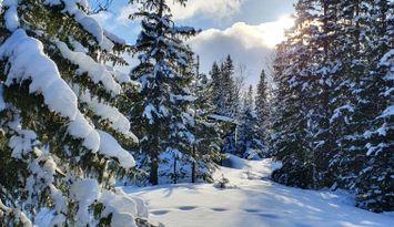 Fjällstuga i naturskönt läge