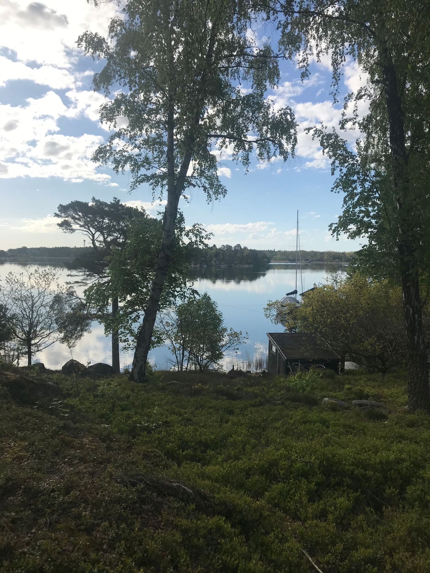 Vacker sjötomt med flera stugor och vedeldad bastu – bild 2 av 23