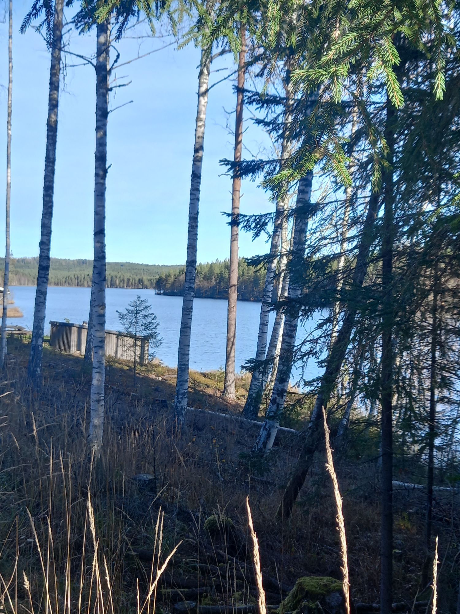 Hundvänligt hus nära sjön, inhägnat Värmland – bild 6 av 24
