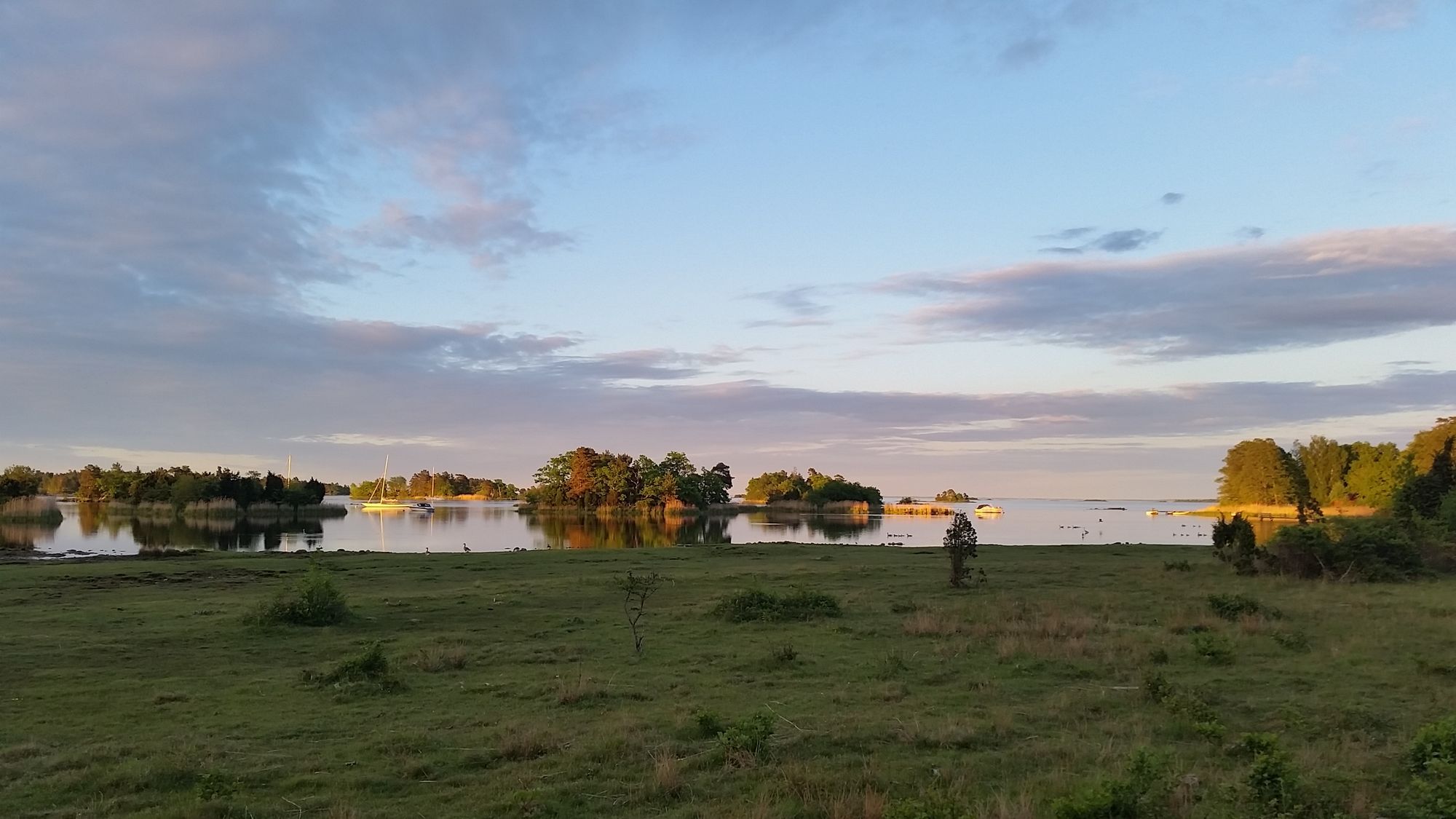 For guestworkers, between Kalmar/Mönsterås – bild 15 av 24
