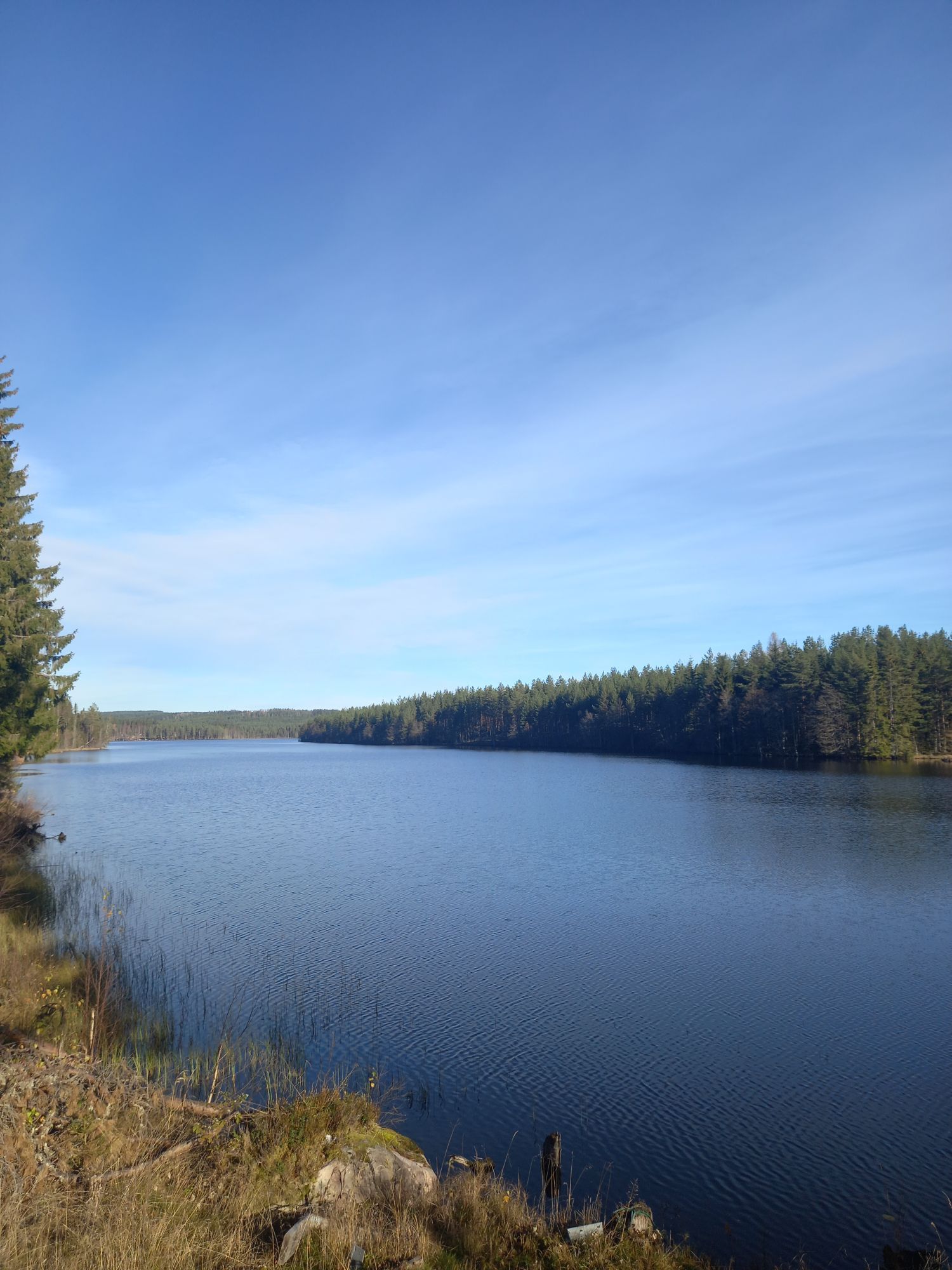 Hundvänligt hus nära sjön, inhägnat Värmland – bild 7 av 24