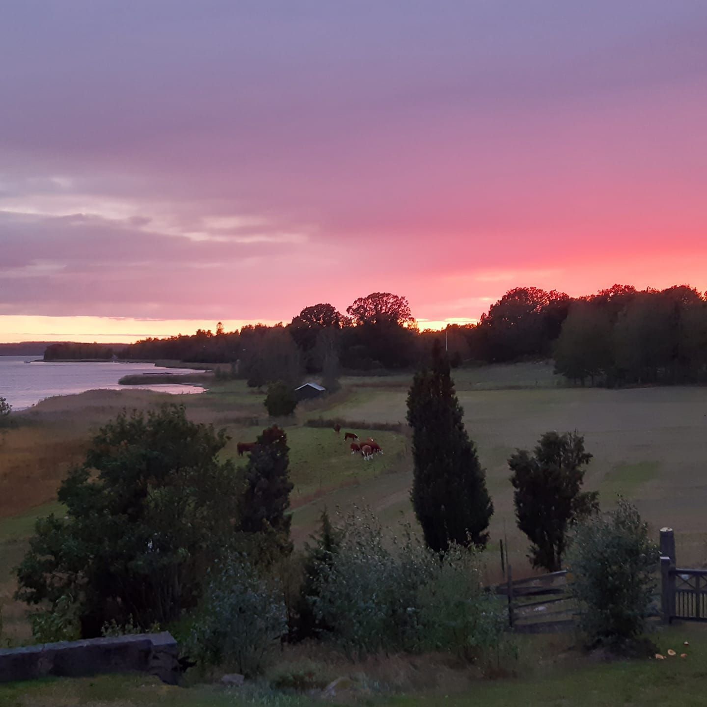 Hus med utsikt över havsvik, vissa veckor o dagar – bild 19 av 23