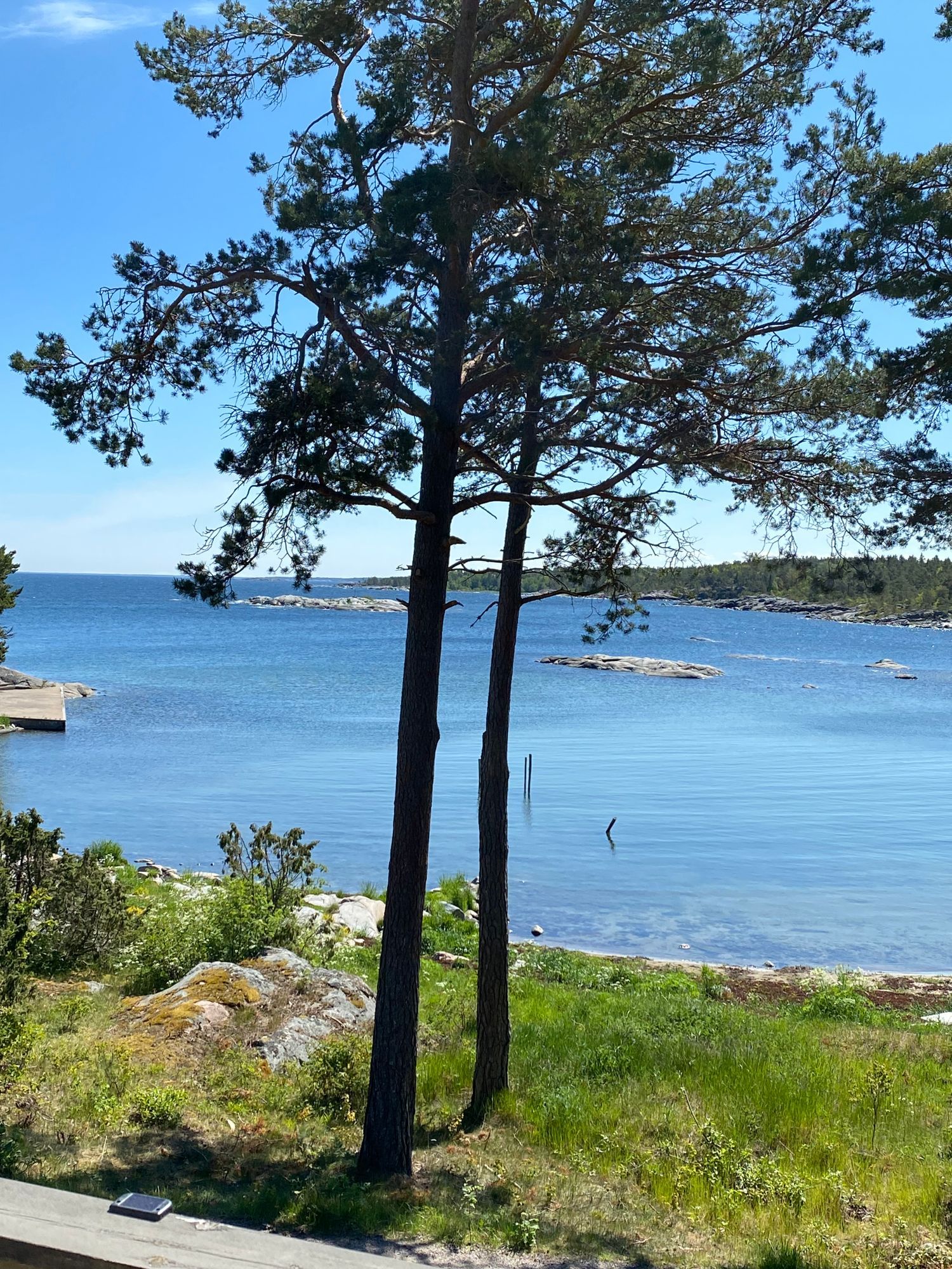 Röd liten stuga med drömläge precis vid stranden – bild 19 av 19