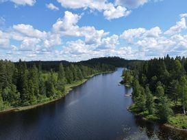 Två torp med enskilt sjöläge, ved bastu, 9 bäddar
