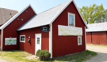 Stuga på Öland med betande får ISE04033