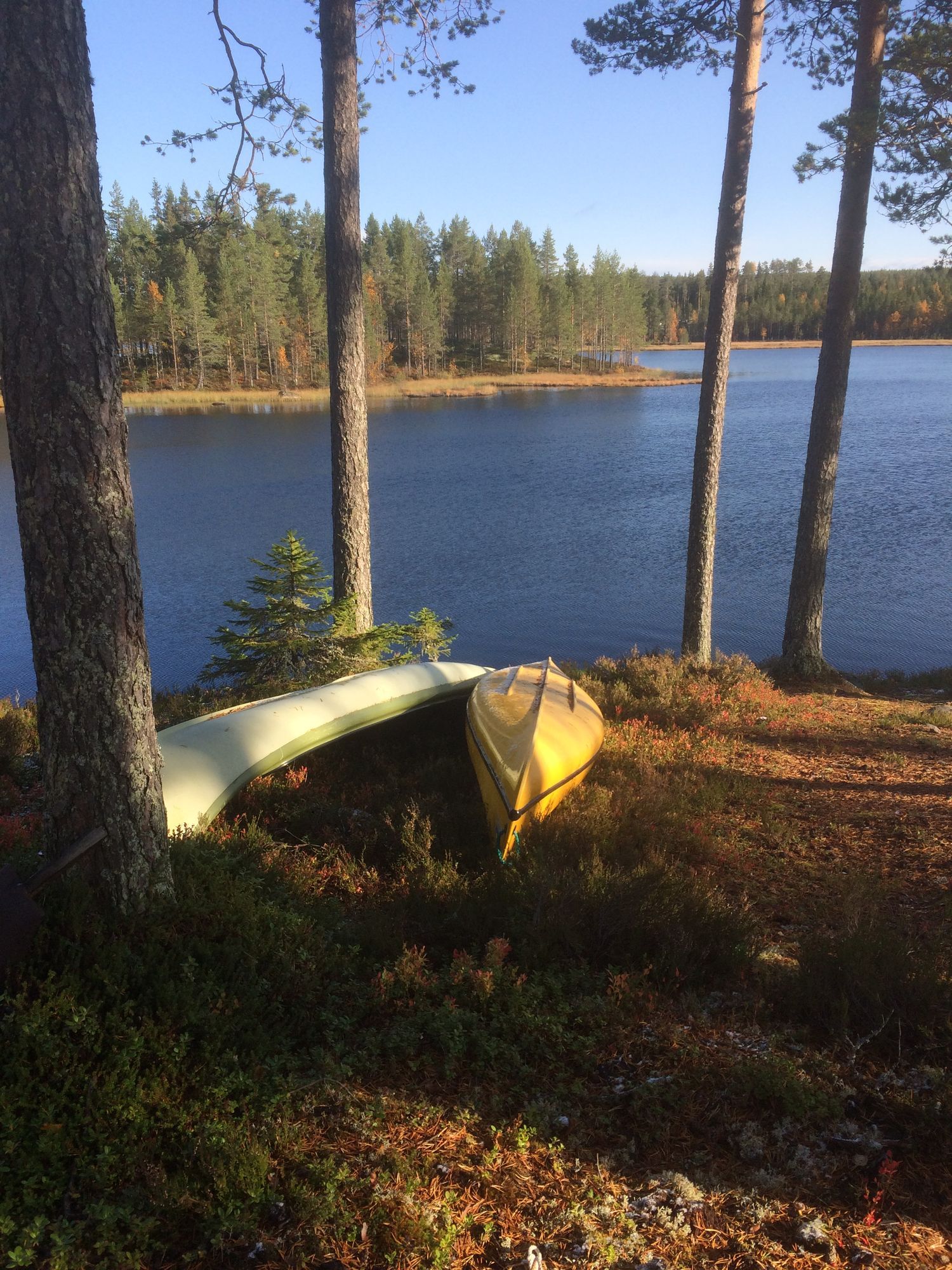Stuga på Långberget,Syslebäck, Värmland uthyres. – bild 21 av 24