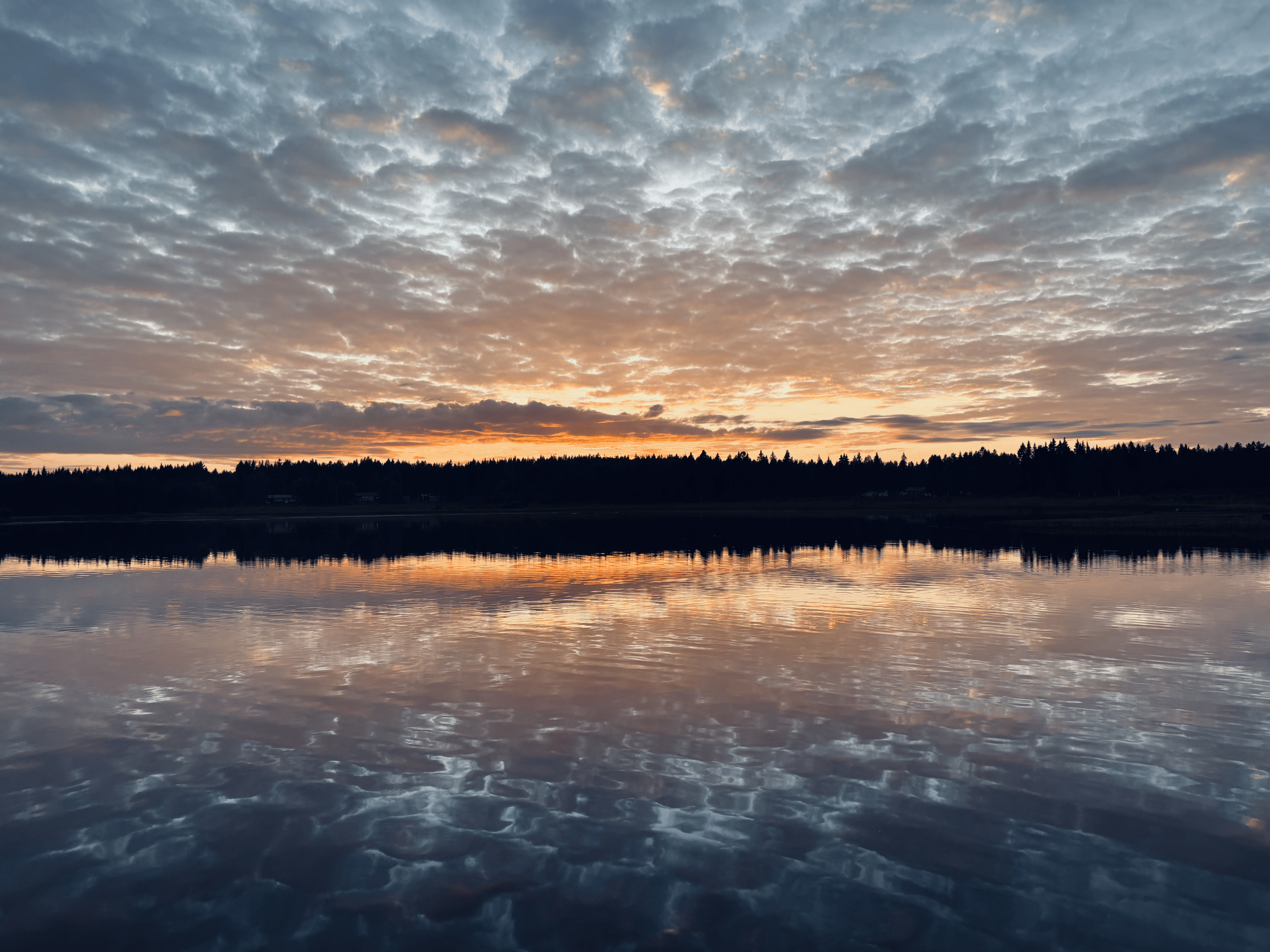 Havsutsikt & lugnet i naturen – bild 7 av 7