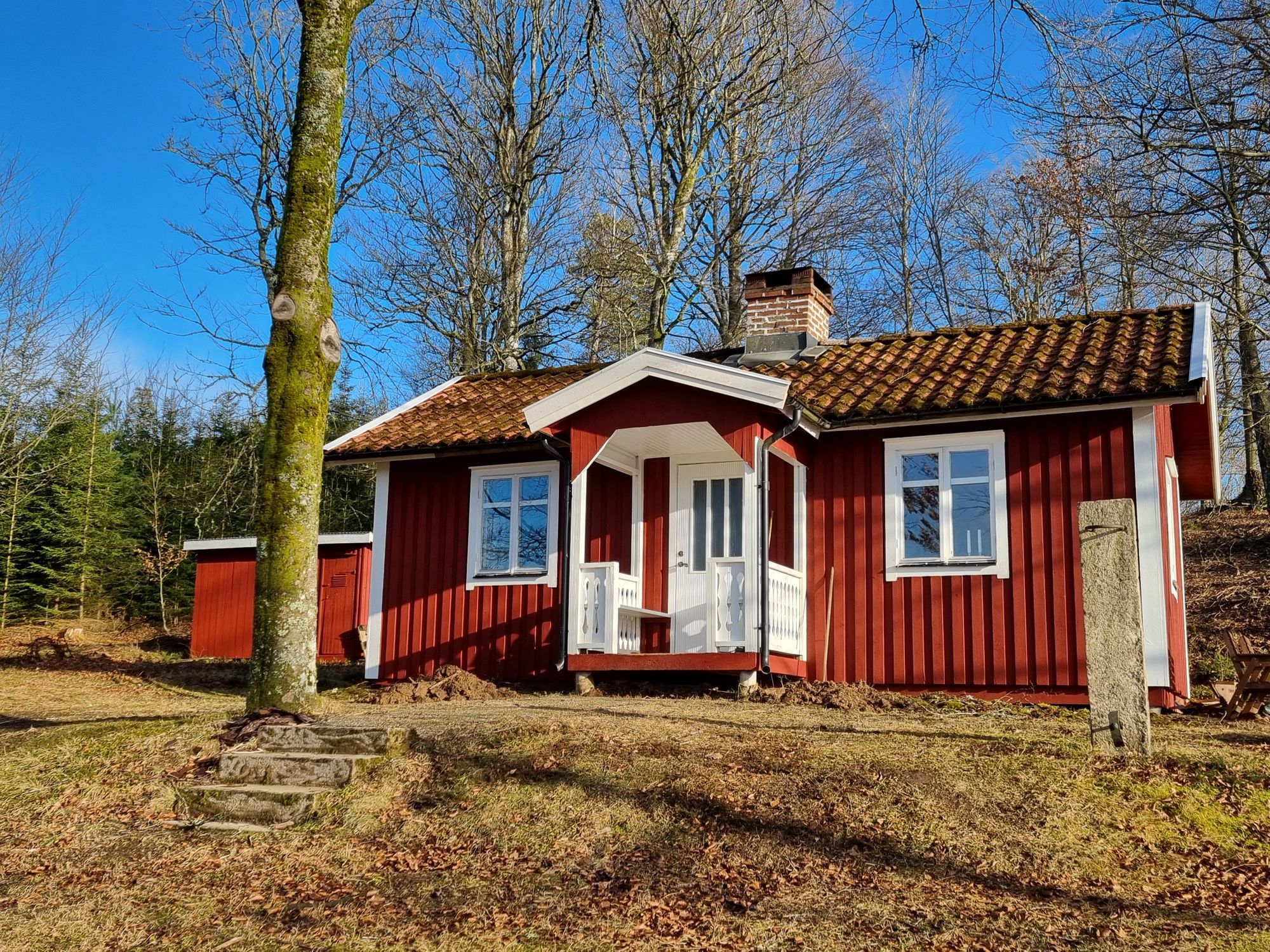 Skogsgläntan i den Småländska skogen