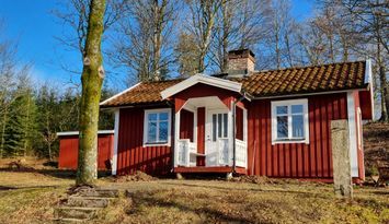 Skogsgläntan i den Småländska skogen
