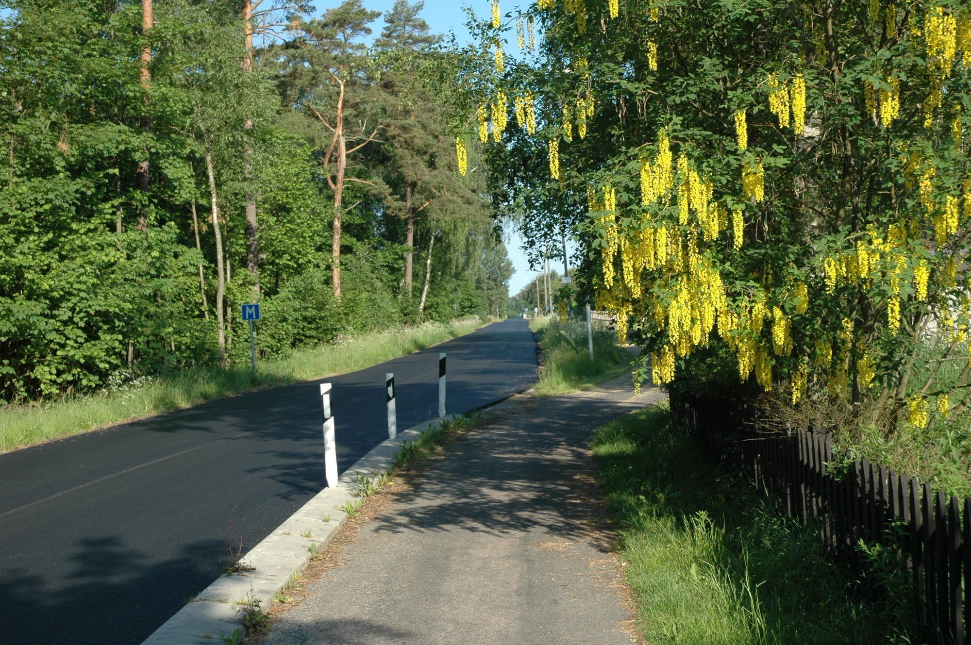 Gatulägenheter vid kusten, Halmstad - Falkenberg – bild 12 av 24