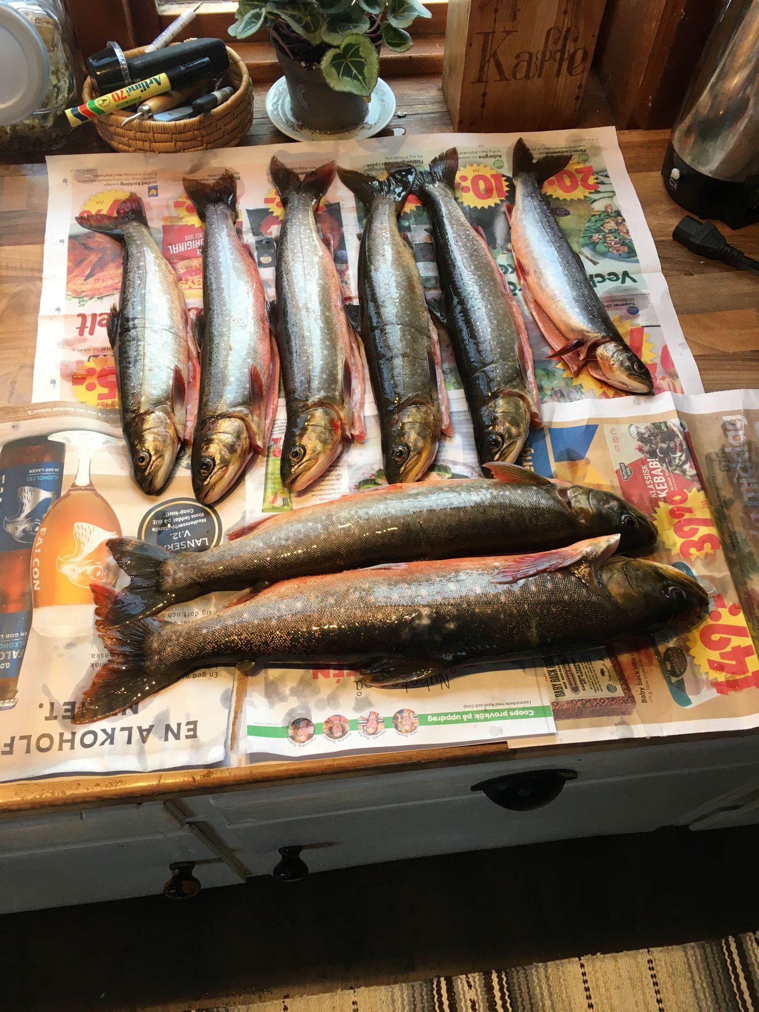 Vackra kultsjödalen Saxnäs – bild 14 av 16