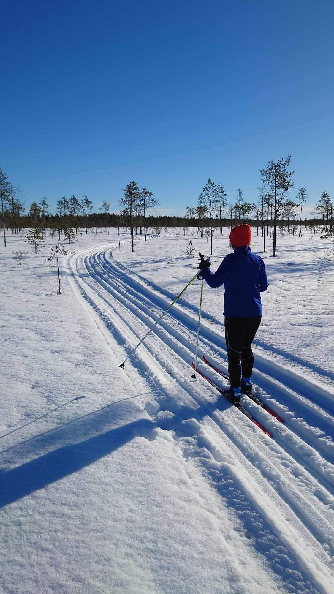 Gammal skola med moderna bekvämligheter – bild 22 av 24