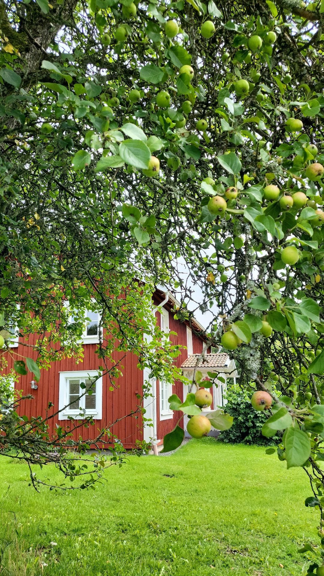 Stuga Äppellund – bo med ”Bullerby-atmosfär” – bild 11 av 12