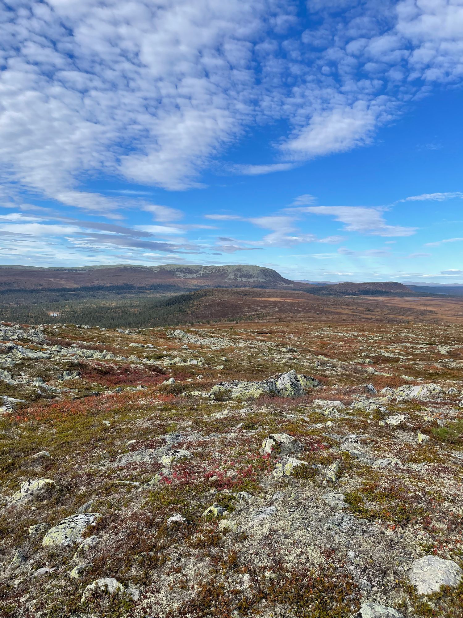 Stuga i Idre fjätervålen med 5 + 2 bäddar #31776 – bild 3 av 10