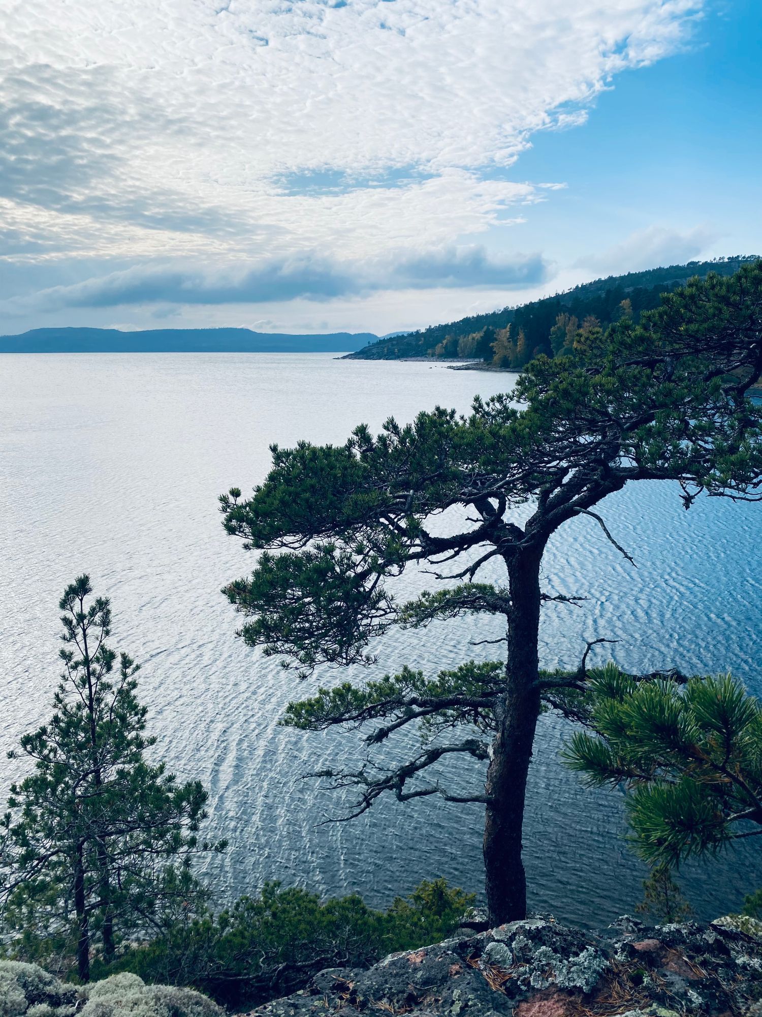 Hundvänligt familjeparadis i Norrfällsviken – bild 22 av 24